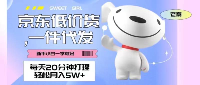 每天20分钟打理京东低价货，一件代发-轻松月入5W＋-图片1